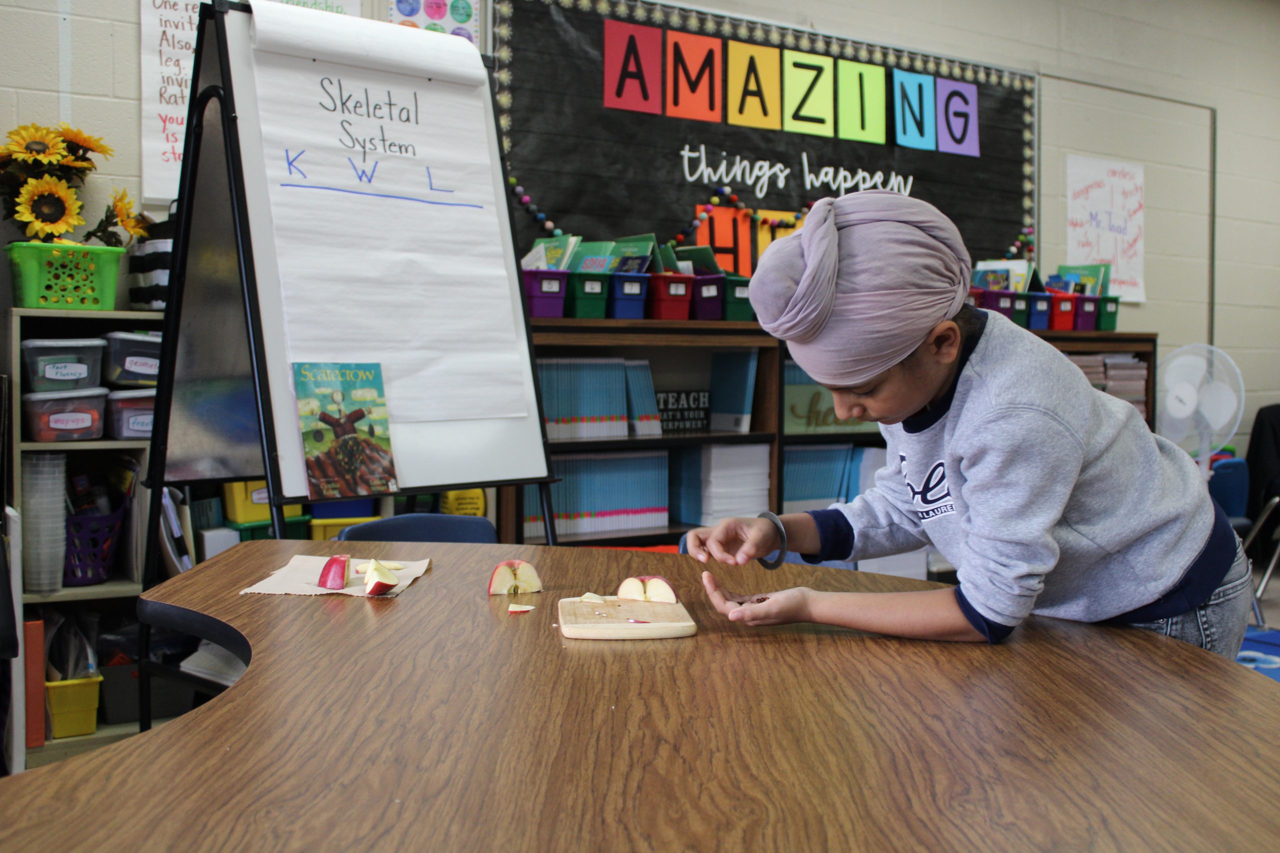 A student wearing a head scarf studies apple seeds in her hands.