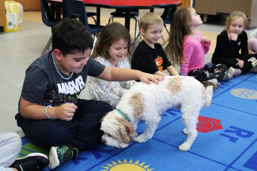 image of students with therapy dog