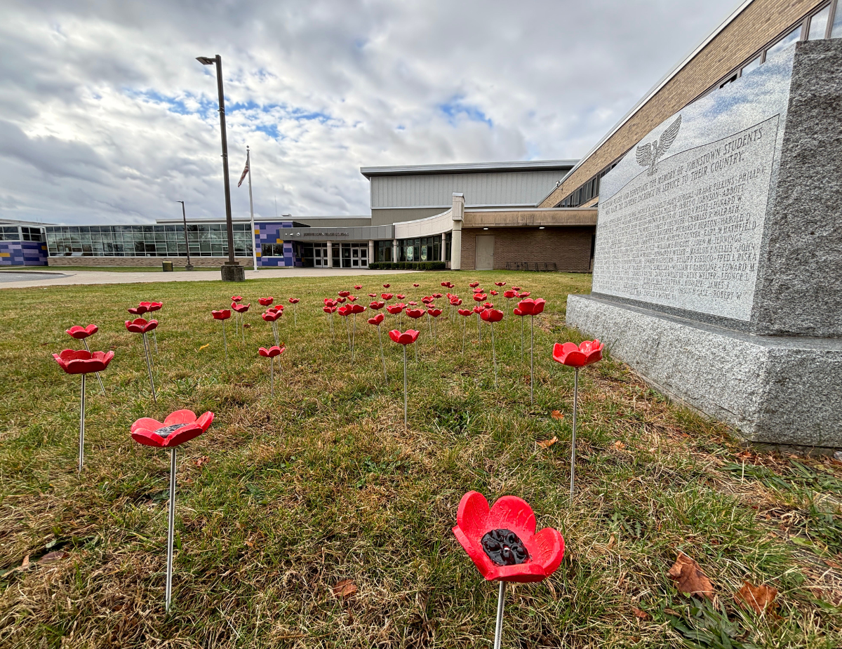 a stone monument is surrounded by red poppies